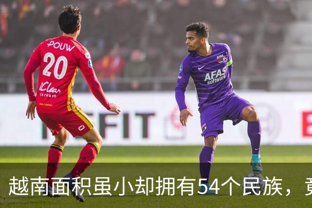 越南面积虽小却拥有54个民族，竟还将中国汉族分成三个民族？